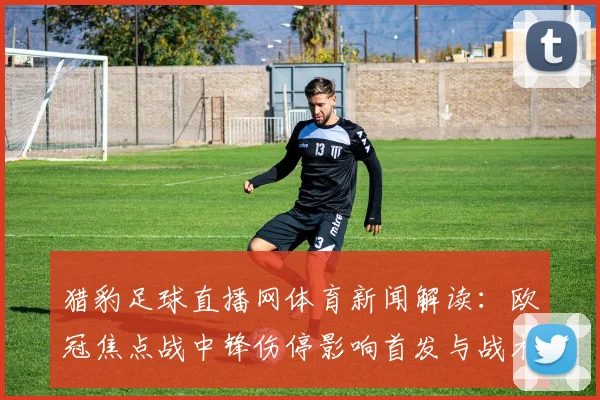 猎豹足球直播网体育新闻解读：欧冠焦点战中锋伤停影响首发与战术安排
